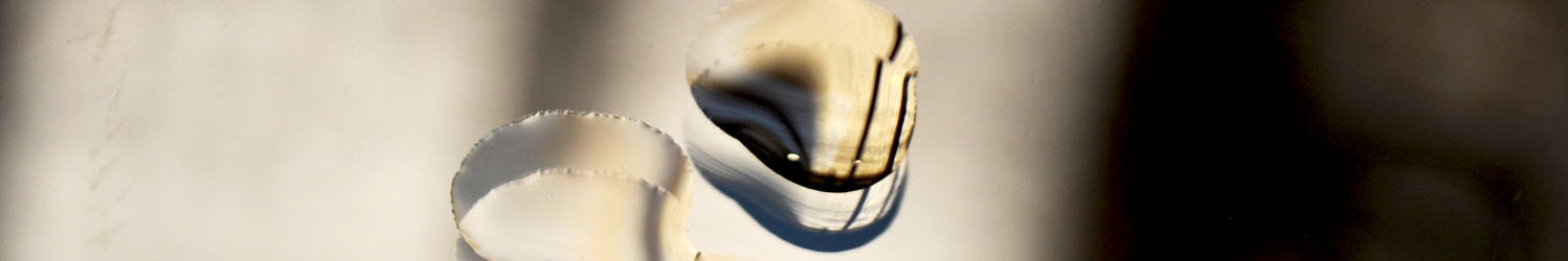 natural face oils