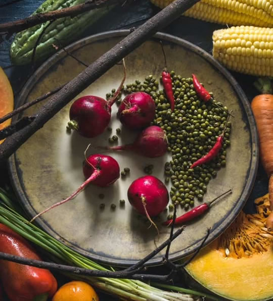 Veganuary e alimentazione 100% vegana _ 23st Beauty